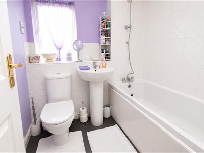 Picture 14